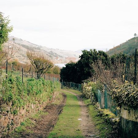 Quinta Das Casas - Douro Winery & Villas Vila Real Exterior photo