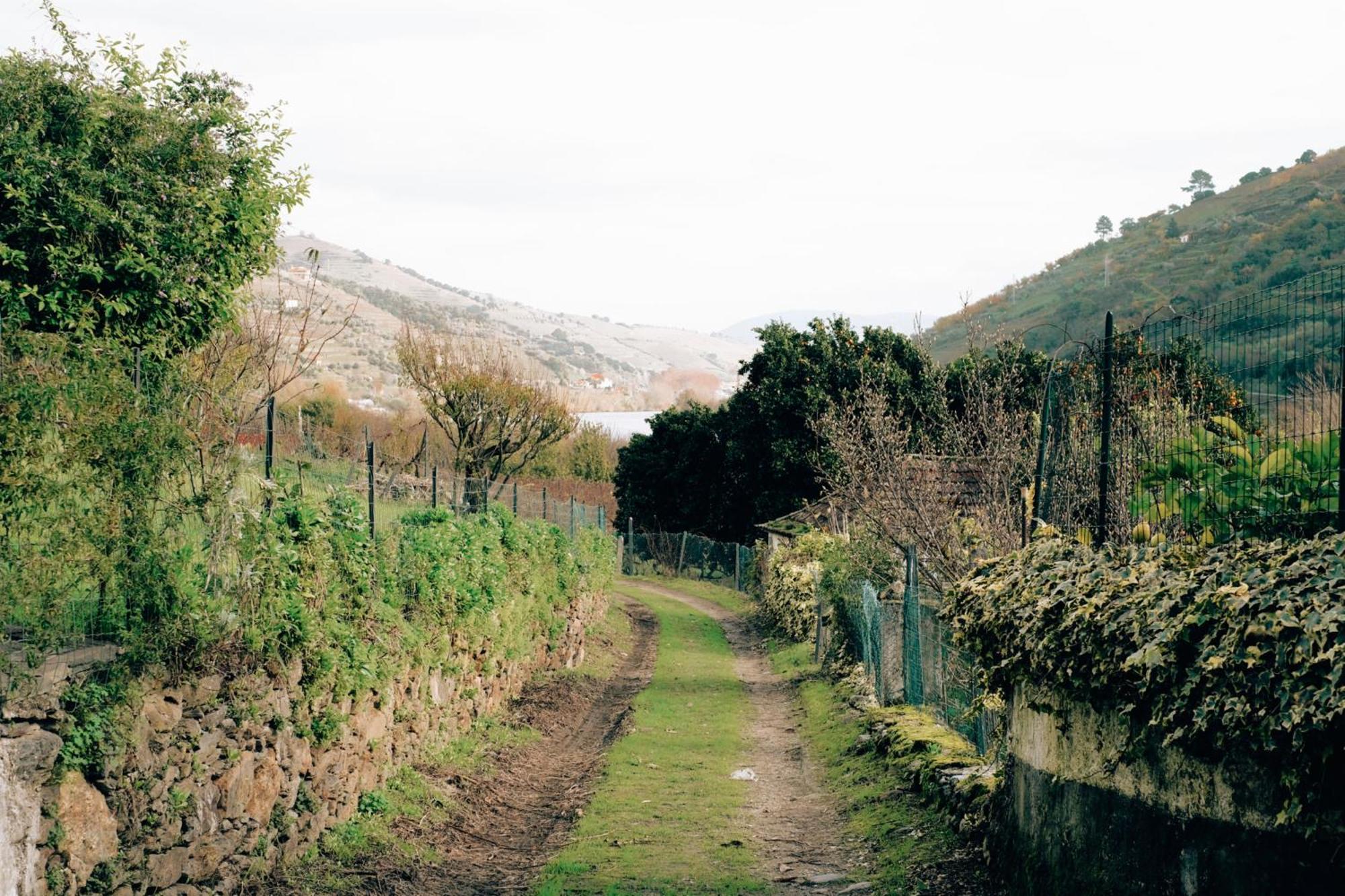 Quinta Das Casas - Douro Winery & Villas Vila Real Exterior photo